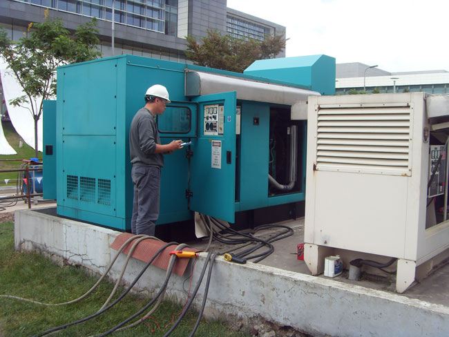 电白发电机出租